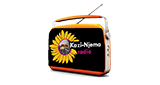 Kazi Njema Radio radio live streaming logo