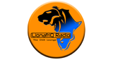 LionafriQ Radio radio live streaming logo