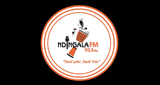 Ndingala Fm 93.3 Mhz radio live streaming logo