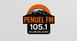 PenuelFM radio live streaming logo