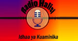 Radio Halisi radio live streaming logo
