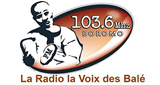 Radio la Voix des Balé radio live streaming logo