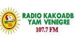 RADIO VENEGRE
