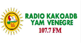 RADIO VENEGRE radio live streaming logo