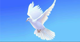 Rafiki-Farm Main Altar radio live streaming logo