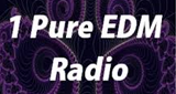 1 Pure EDM Radio radio live streaming logo