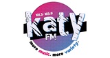 101.3 & 103.9 Katy FM radio live streaming logo