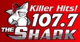 107.7 The Shark radio live streaming logo