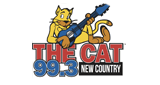 99.3 The Cat radio live streaming logo