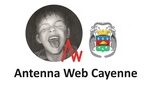 Antenna Web Cayenne