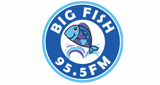 Big Fish radio live streaming logo