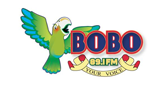 Bobo 89.1 FM radio live streaming logo