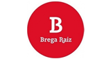 Brega Raiz radio live streaming logo