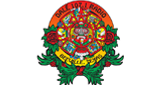 Dale' 107.1 radio live streaming logo