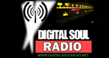 Digital Soul Radio Network radio live streaming logo