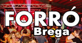 Forro Brega radio live streaming logo