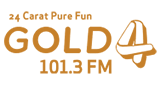 Gold FM 1013 radio live streaming logo