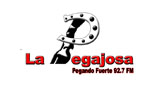La Pegajosa radio live streaming logo