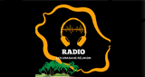 Les Uragans Reunion radio live streaming logo