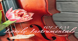 Lovely Instrumentals 101.5 FM radio live streaming logo