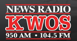 News Radio 950 radio live streaming logo