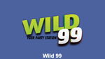 Powerhitz – Wild99