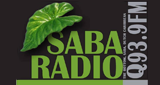 Q93.9 FM radio live streaming logo