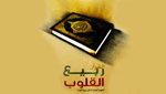 Rabee Al Qloub