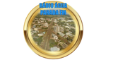 Rádio Água Parada FM radio live streaming logo