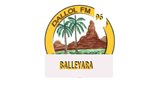 Radio Dallol Balleyara radio live streaming logo