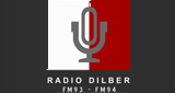 Radio Dilber Swabi radio live streaming logo