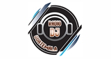 Radio DJ Guatemala radio live streaming logo