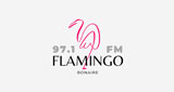 Radio Flamingo 97.1Fm bonaire radio live streaming logo