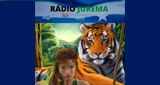 Rádio Jurema radio live streaming logo