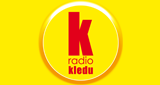 Radio KLEDU radio live streaming logo