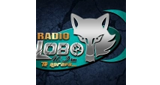 Radio Lobo Oruro radio live streaming logo