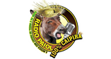 Rádio Paiol radio live streaming logo