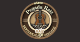 Rádio Pegada Raiz radio live streaming logo