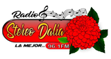 Radio Stereo Dalia 96.1 Fm radio live streaming logo