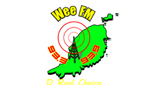 Radio Wee FM radio live streaming logo