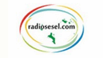 Radiosesel