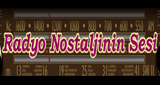 Radyo Nostaljinin Sesi radio live streaming logo