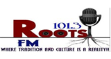 Roots FM 101.3 radio live streaming logo