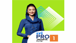 RRI Pro 1