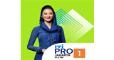 RRI Pro 1 radio live streaming logo