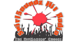 SwirlSoundz Hit Radio radio live streaming logo