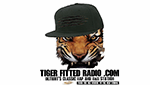Tiger Fitted Radio