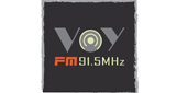 VOY Radio FM radio live streaming logo
