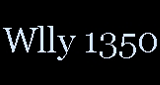 WLLY radio live streaming logo