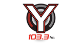 Y 103.3 FM radio live streaming logo